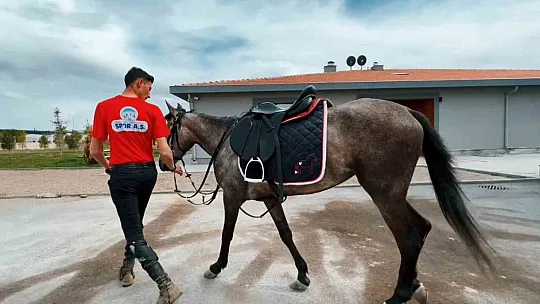 Büyükşehir'den Atlı Tur Hizmeti...