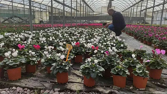 1 ton tohum toprakla buluştu...