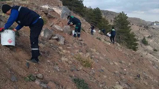 1 ton tohum toprakla buluştu...