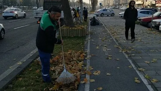 Gazeller gübreye dönüşüyor...