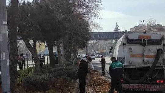 Gazeller gübreye dönüşüyor...