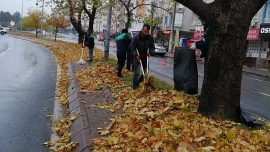Gazeller gübreye dönüşüyor...