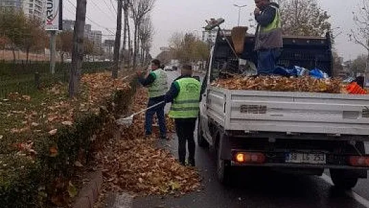 Gazeller gübreye dönüşüyor...