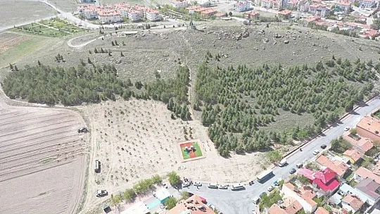 Yeşil hamle ile geleceğe nefes oluyorlar