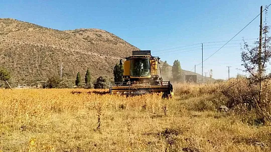 Talas şimdi de Aspir hasadı yaptı