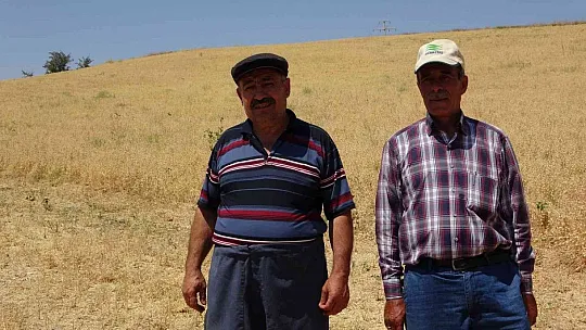 Ziraat Odaları Koordinasyon Kurulu Başkanı Güneş: Çiftçiler memnun!