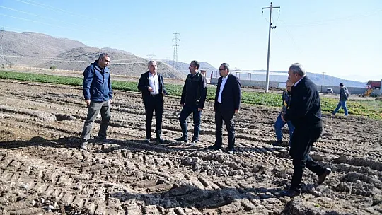 Çilekte Marka Şehir Kayseri