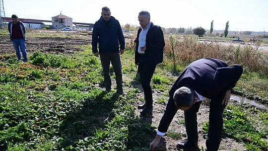Çilekte Marka Şehir Kayseri