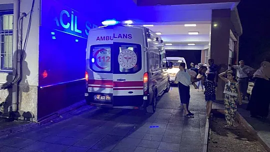 Cinnet getirip 2 kişiyi öldürüp intihar etti