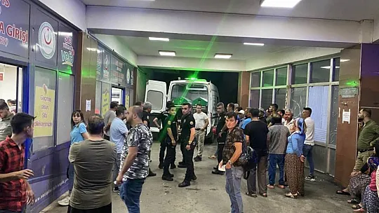 Cinnet getirip 2 kişiyi öldürüp intihar etti