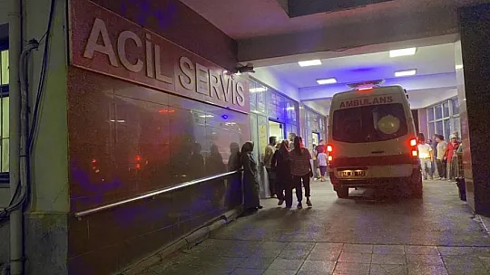 Cinnet getirip 2 kişiyi öldürüp intihar etti