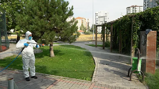 22 binden fazla sokak hayvanına rehabilite