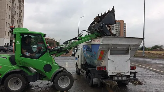 22 binden fazla sokak hayvanına rehabilite