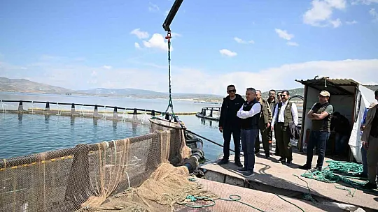 Hedef: 45 milyon dolar... Somonlar bakın nerede yetişiyor?