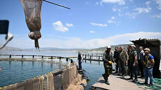 Hedef: 45 milyon dolar... Somonlar bakın nerede yetişiyor?