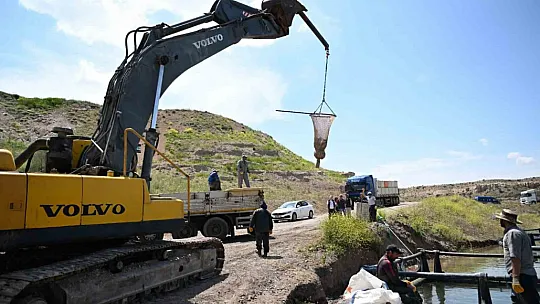 Hedef: 45 milyon dolar... Somonlar bakın nerede yetişiyor?