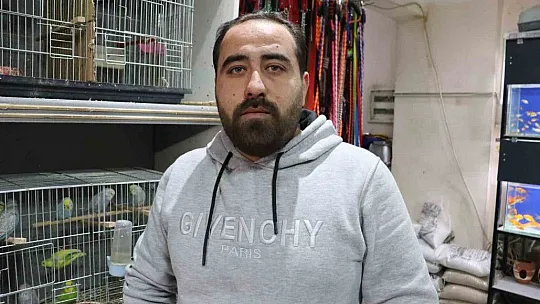 Depremden sonra muhabbet kuşlarının satışı patladı! İşte nedeni...