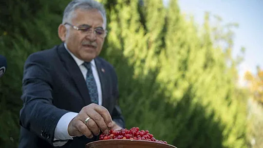 Büyükkılıç'tan sağlık için gilaburu tavsiyesi