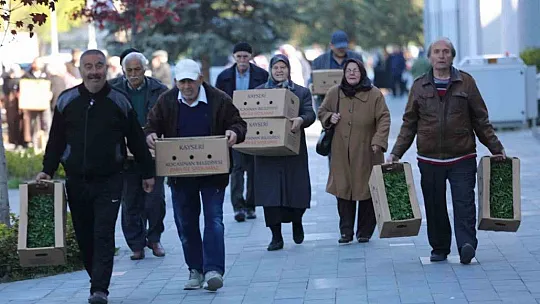 Domates fidesi için uzun kuyruklar oluşturdular