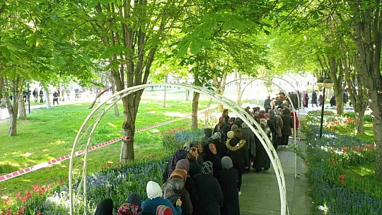 Domates fidesi için uzun kuyruklar oluşturdular