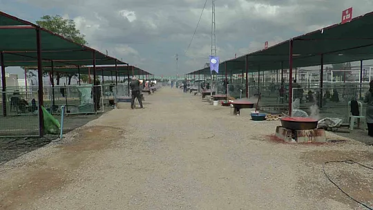 Domatesler kışlık salça için kaynadı!