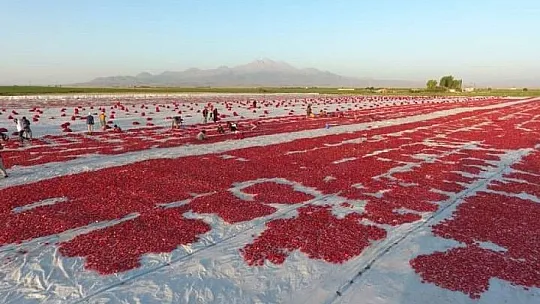Erciyes'in etekleri kırmızıya boyandı