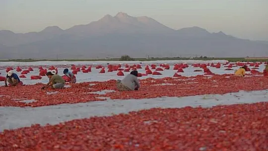 Erciyes'in etekleri kırmızıya boyandı