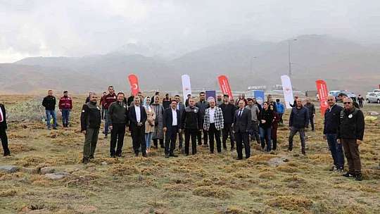 Erciyes lavantayla renklenecek...