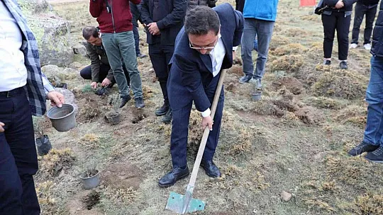 Erciyes lavantayla renklenecek...