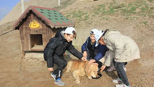 'Merhametli nesil' projesi!