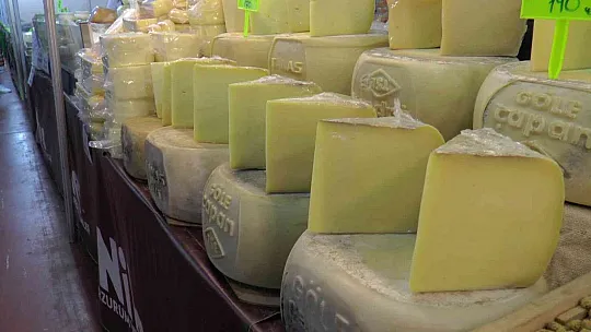Eski kaşar adeta doğal antibiyotik gibi
