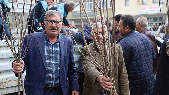 Fidan belediyeden meyve vatandaştan