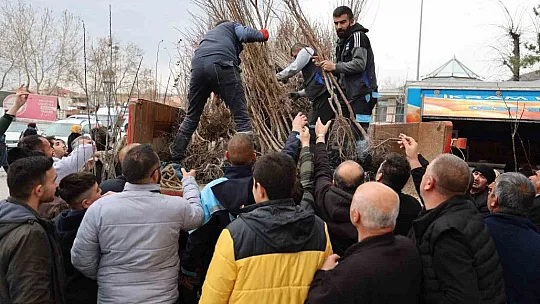 Fidan belediyeden meyve vatandaştan