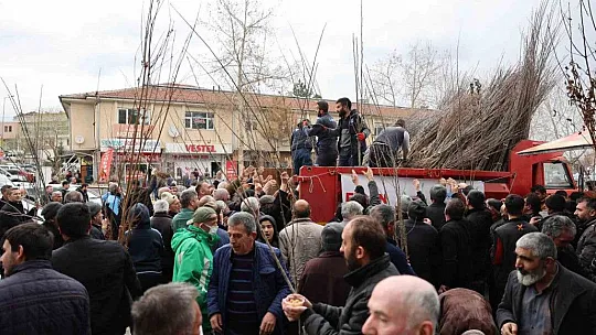 Fidan belediyeden meyve vatandaştan