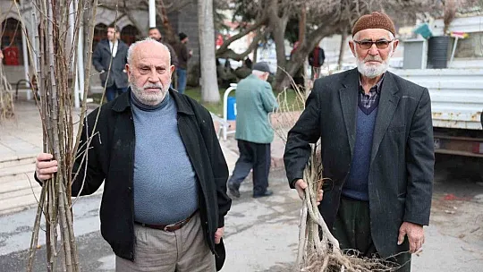 Fidan belediyeden meyve vatandaştan