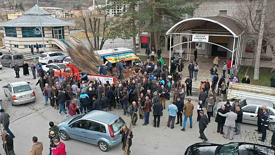 Fidan belediyeden meyve vatandaştan