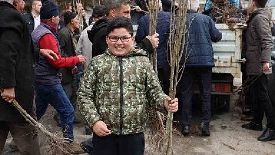 Fidan belediyeden meyve vatandaştan
