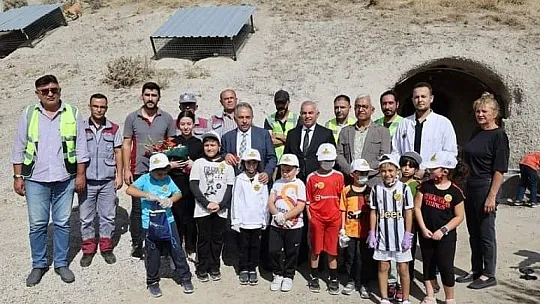 Talas'ta 'hayvan mezarlığı' yapılacak...