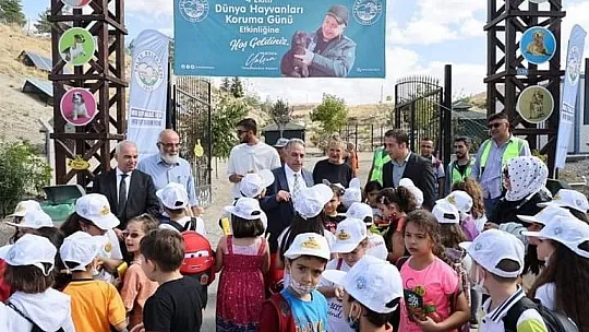 Talas'ta 'hayvan mezarlığı' yapılacak...
