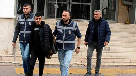 Biri bazanın altından diğeri halının arkasından çıktı!