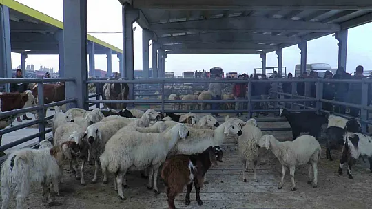 İç Anadolu'nun en büyüğü! Yoğun ilgi görüyor