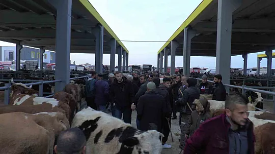 İç Anadolu'nun en büyüğü! Yoğun ilgi görüyor