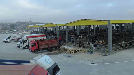 İç Anadolu'nun en büyüğü! Yoğun ilgi görüyor
