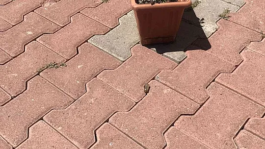 İş adamı cinayetiyle ilgili dikkat çeken gelişme
