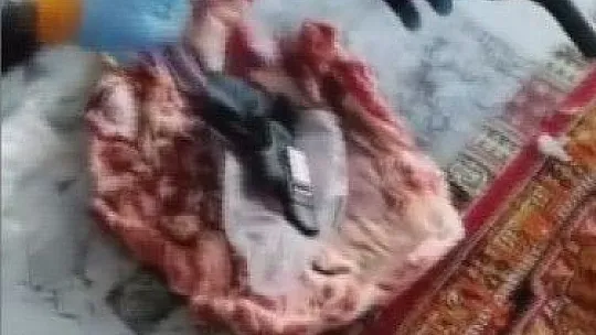 İş yeri faresi yakalandı