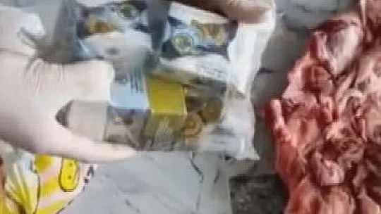 İş yeri faresi yakalandı