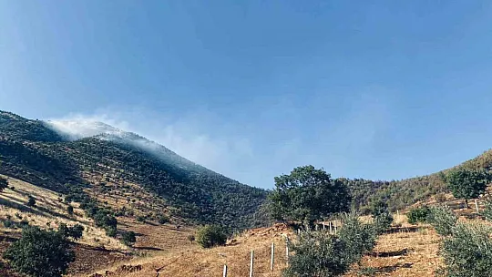 Kahramanmaraş'taki orman yangınına müdahale sürüyor