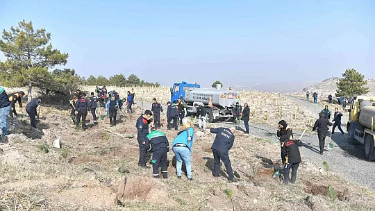Kayseri, 11.11'de 5 bin fidan ile geleceğe nefes oldu!
