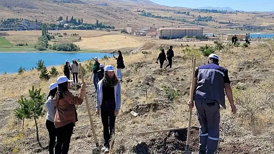 10 ilçede kent ormanları oluşturulacak