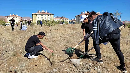 10 ilçede kent ormanları oluşturulacak